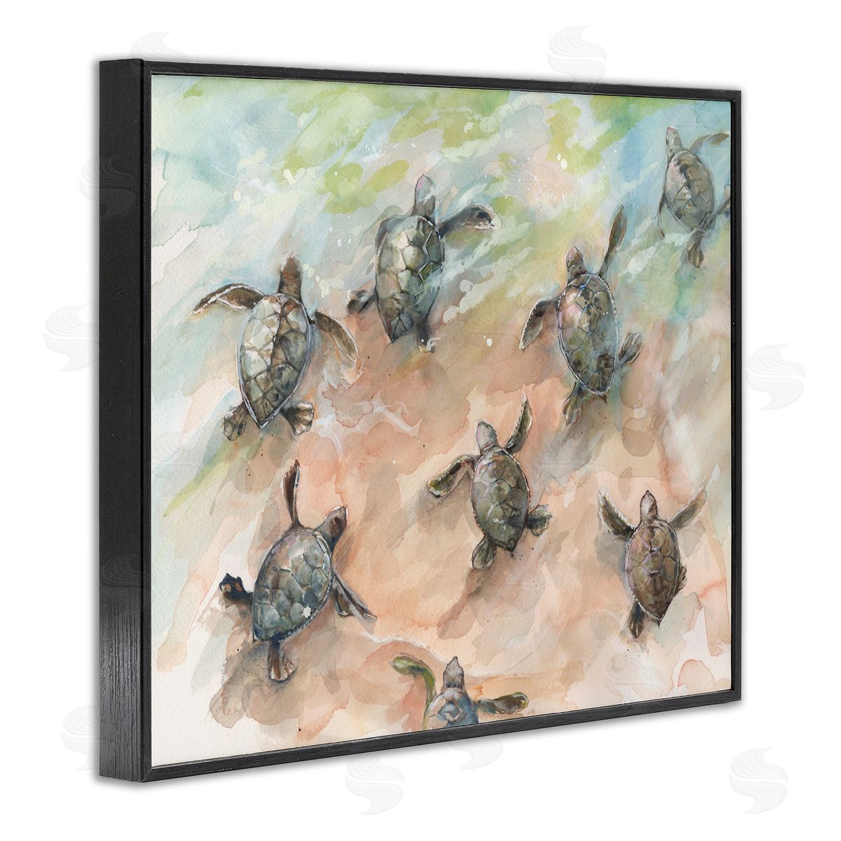 Diannart Baby Sea Turtles Swimming Shore