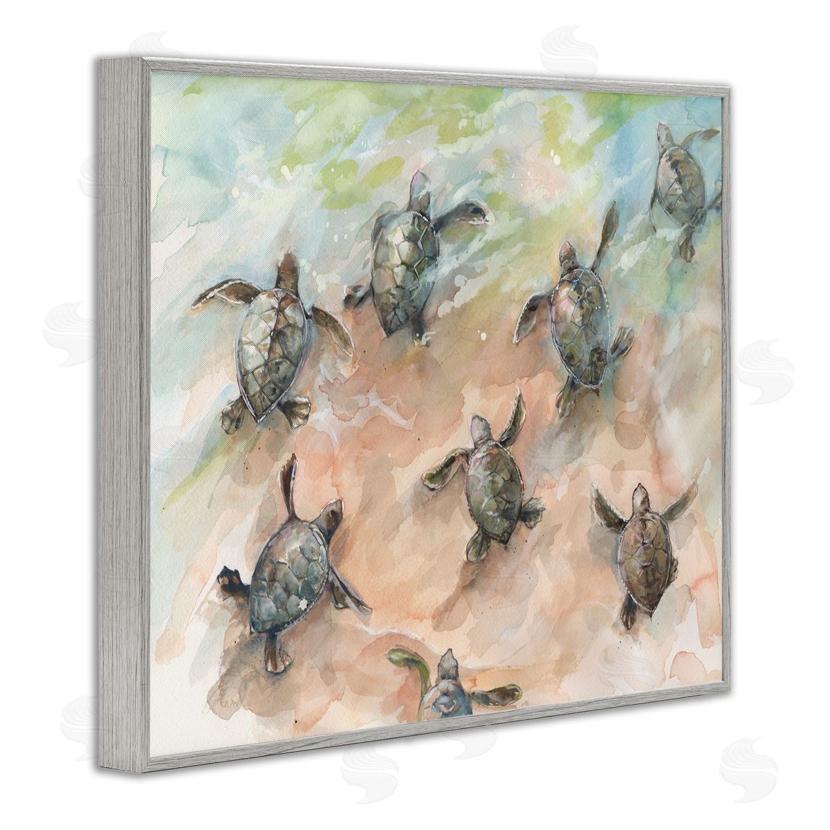 Diannart Baby Sea Turtles Swimming Shore