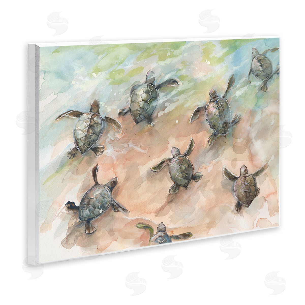 Diannart Baby Sea Turtles Swimming Shore