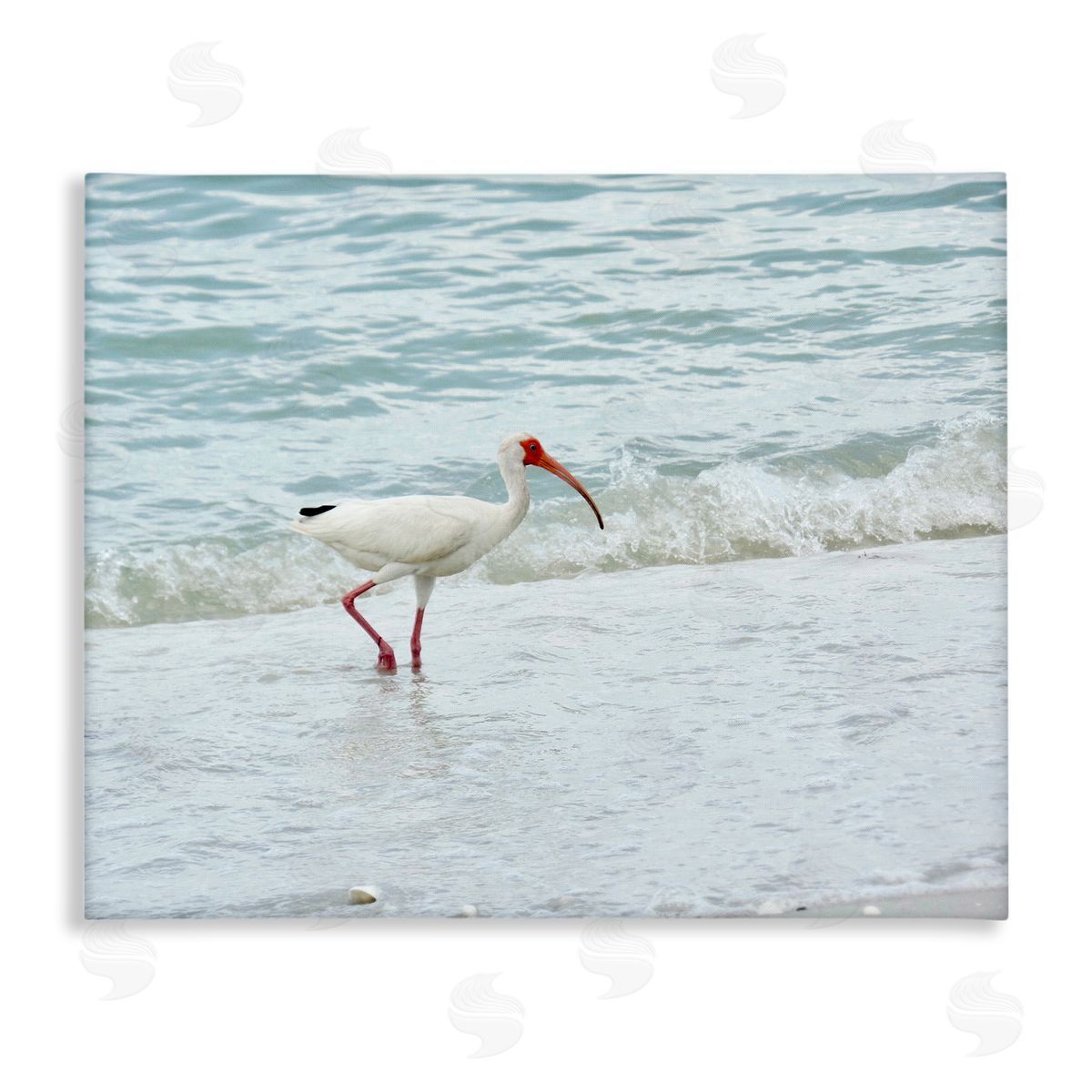 Jairo Rodriguez Bird Stepping Sea Waves Splash