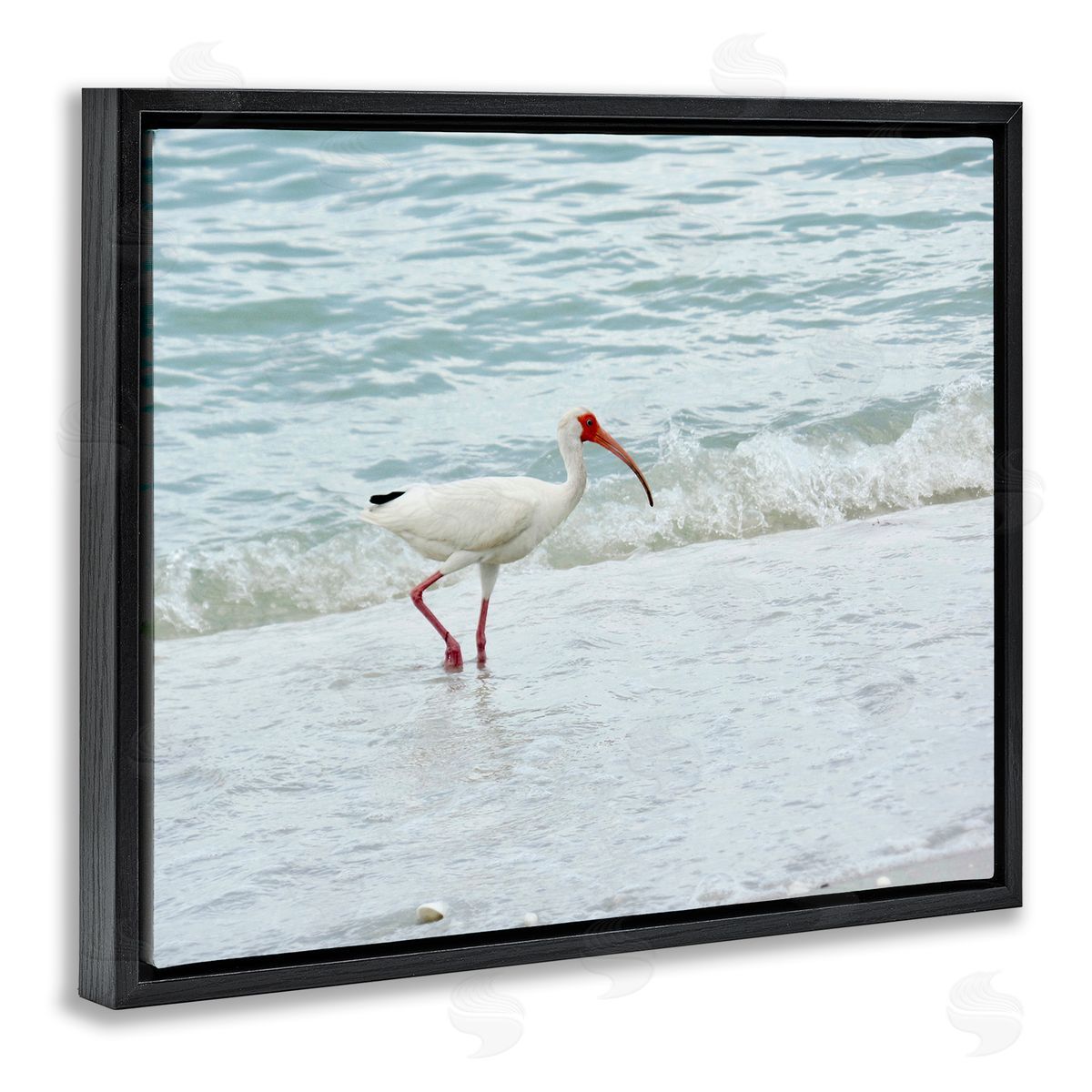 Jairo Rodriguez Bird Stepping Sea Waves Splash