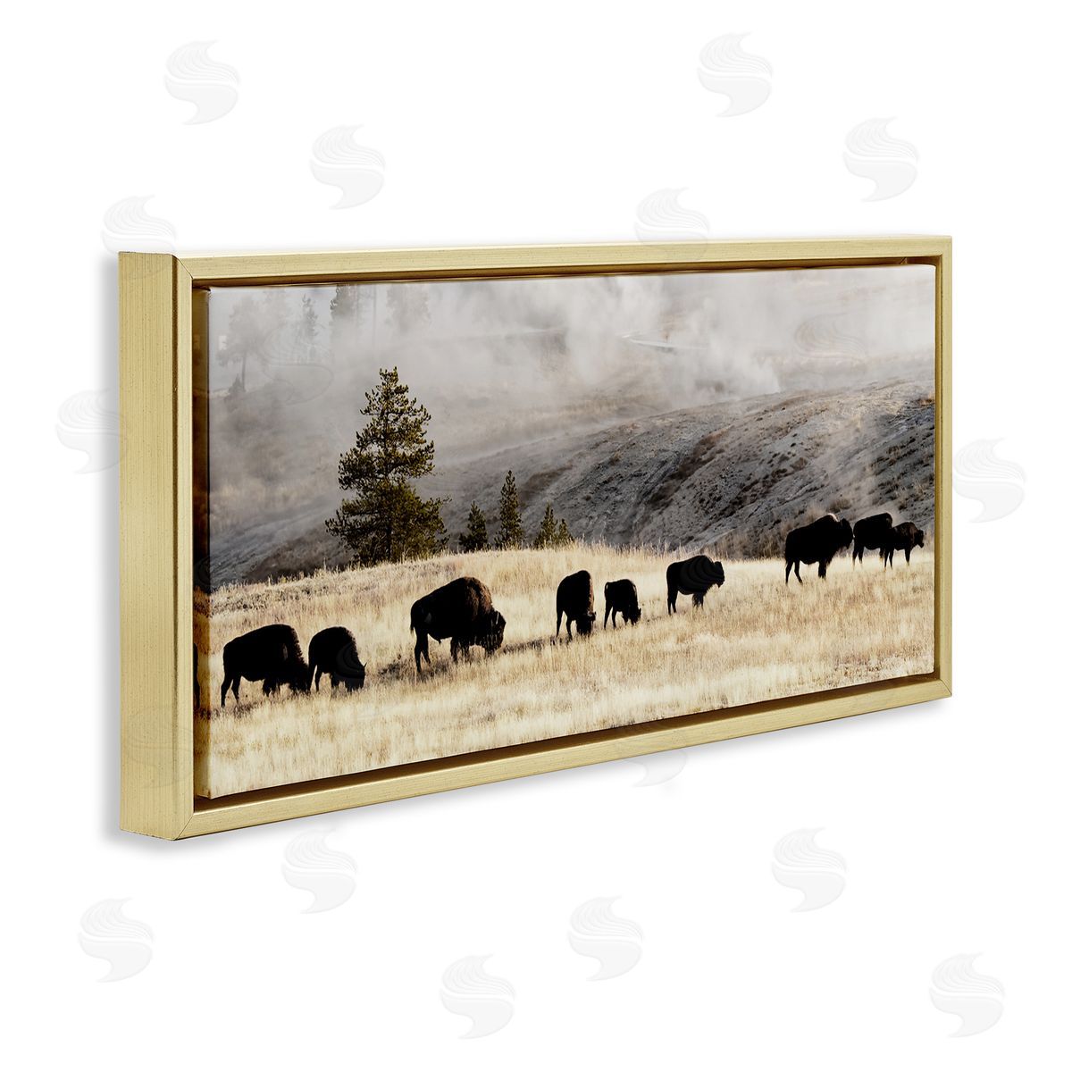 Grazing Bison Foggy Countryside Gold Floating Frame Canvas Wall Art, Home Decor by Danita Delimont