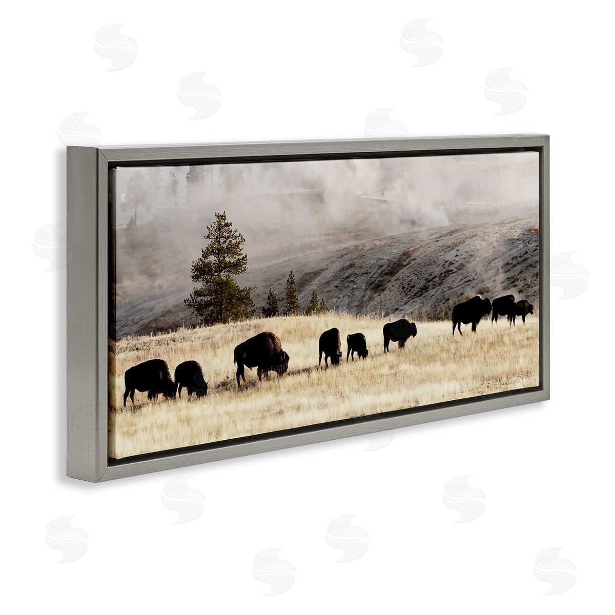 Grazing Bison Foggy Countryside Grey Floating Frame Canvas Wall Art, Home Decor by Danita Delimont