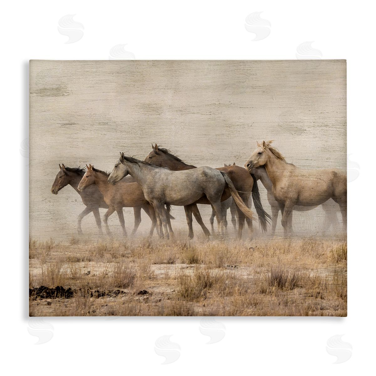 Danita Delimont Galloping Horse Herd Countryside