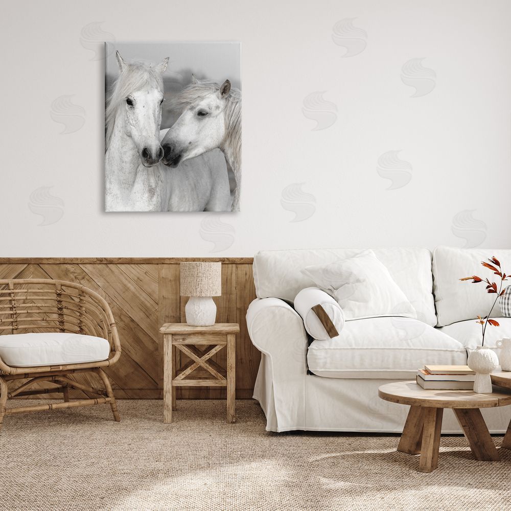 Danita Delimont White Horse Kiss Wildlife