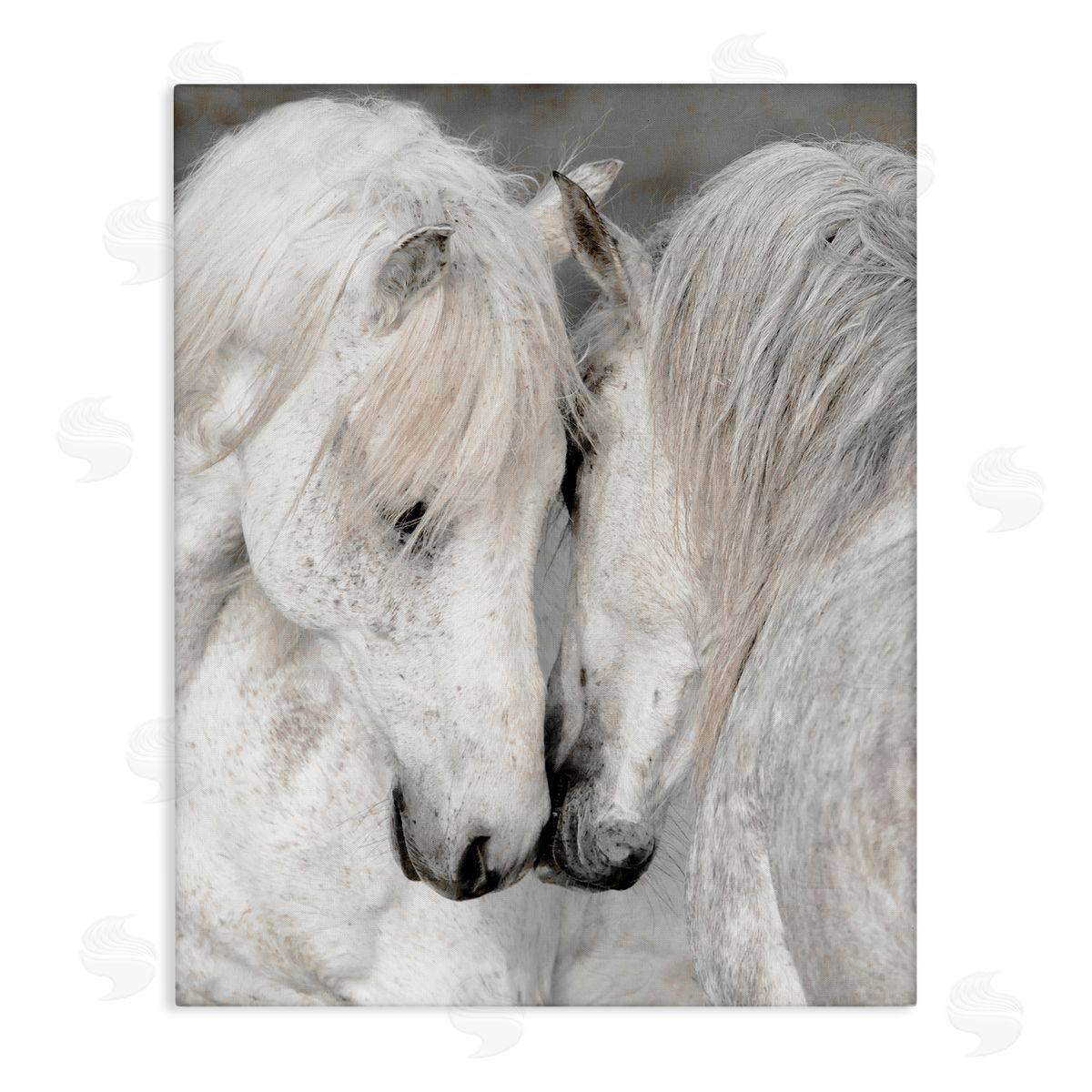Danita Delimont Hugging Horse Duo Wildlife