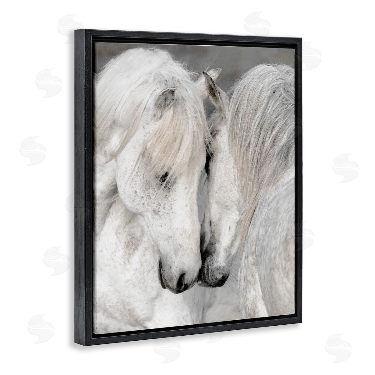Danita Delimont Hugging Horse Duo Wildlife