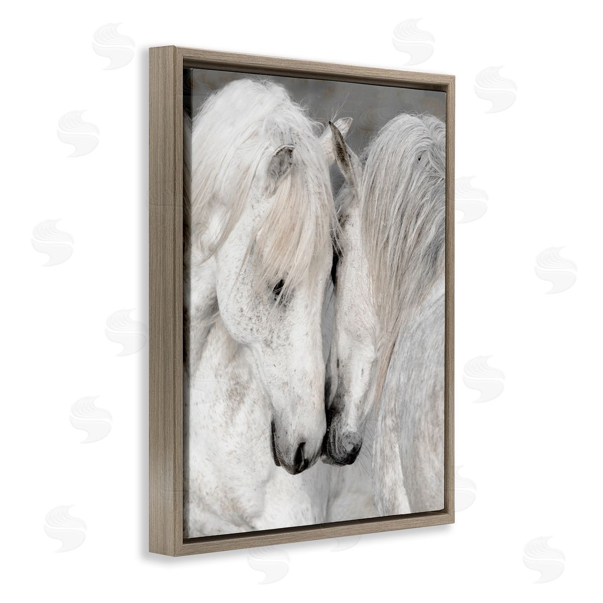 Danita Delimont Hugging Horse Duo Wildlife