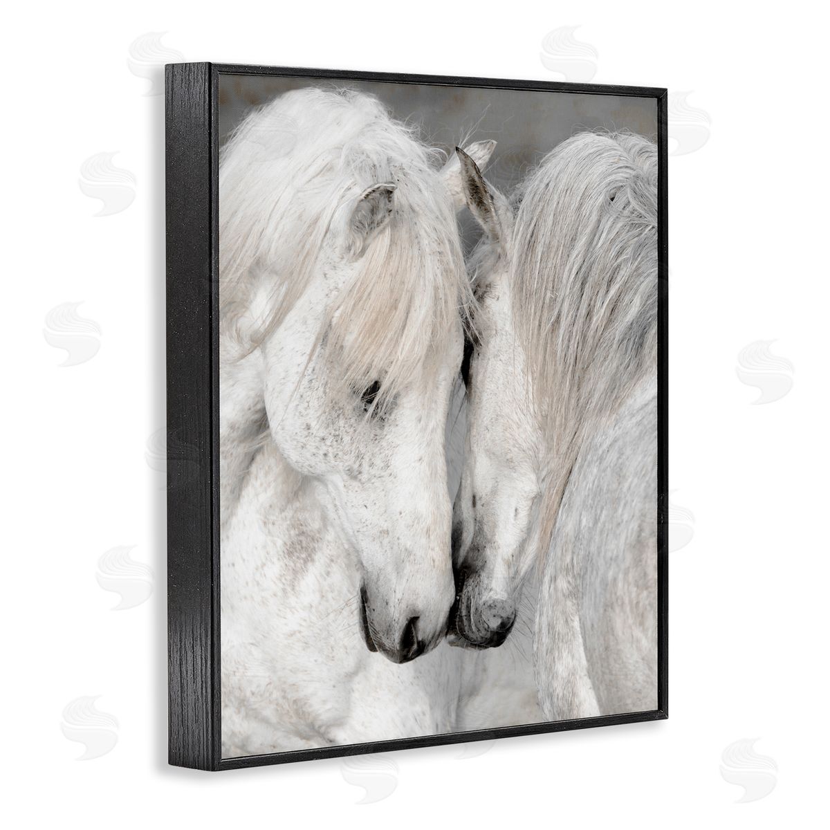 Danita Delimont Hugging Horse Duo Wildlife