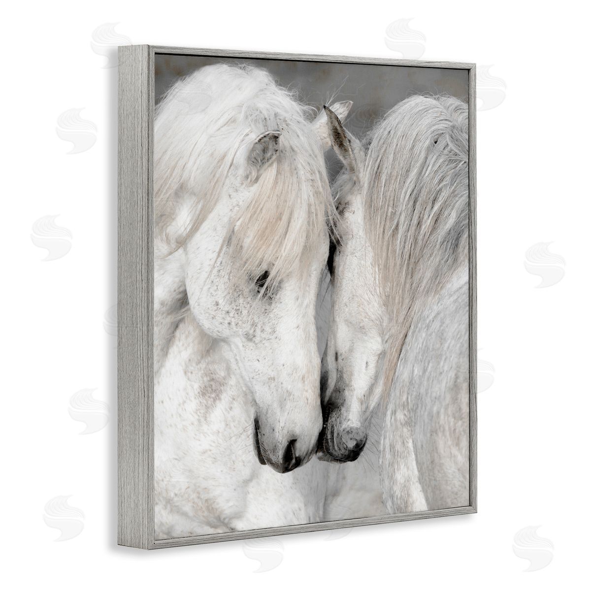 Danita Delimont Hugging Horse Duo Wildlife