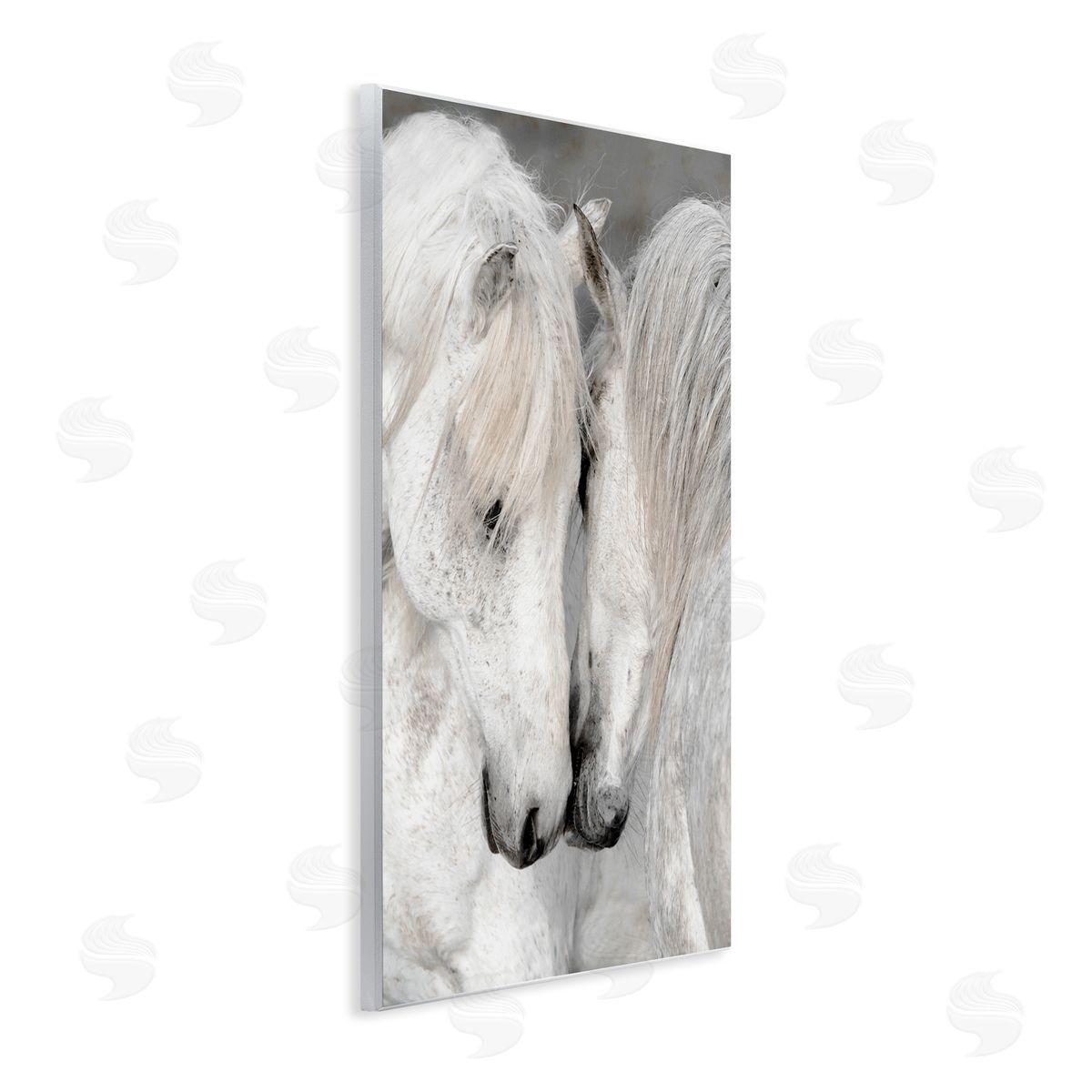 Danita Delimont Hugging Horse Duo Wildlife