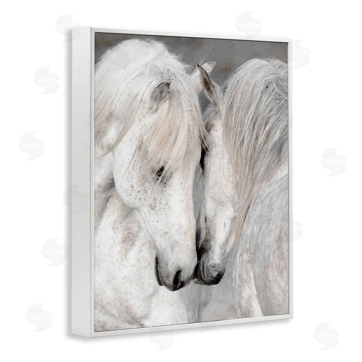 Danita Delimont Hugging Horse Duo Wildlife