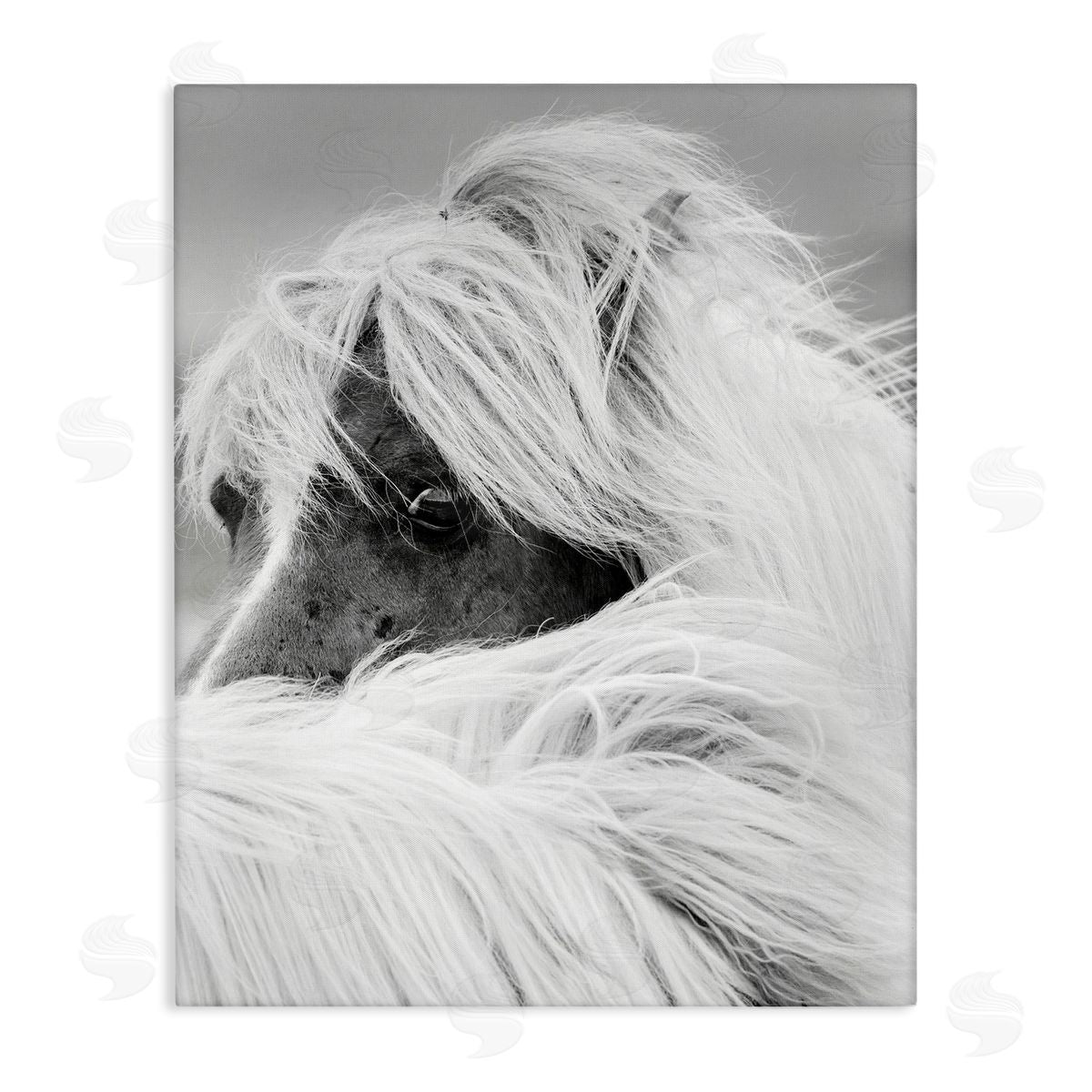 Danita Delimont Horse Gazing Windblown Mane 