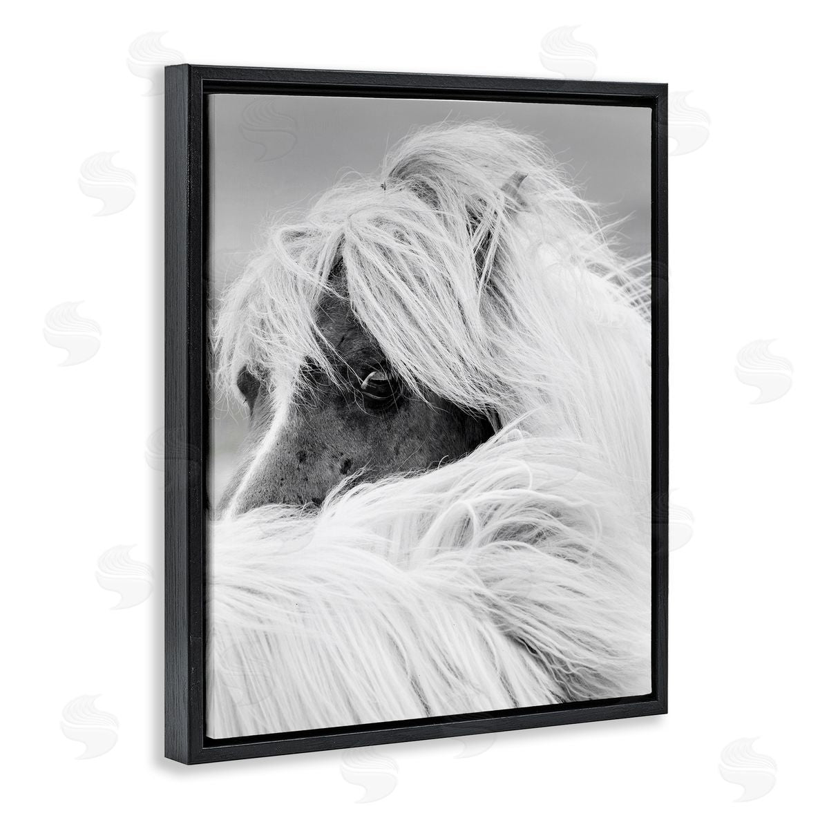 Danita Delimont Horse Gazing Windblown Mane 