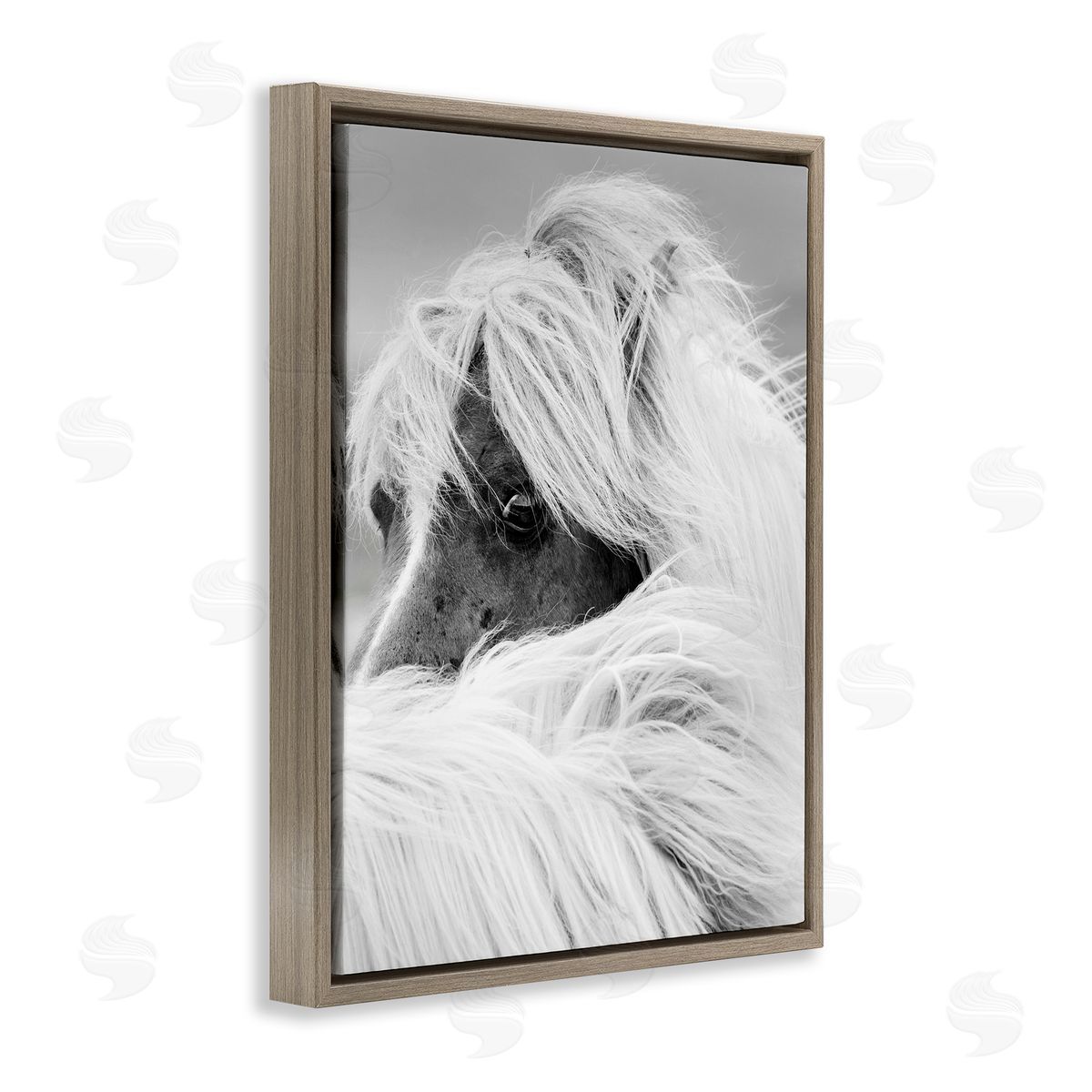 Danita Delimont Horse Gazing Windblown Mane 