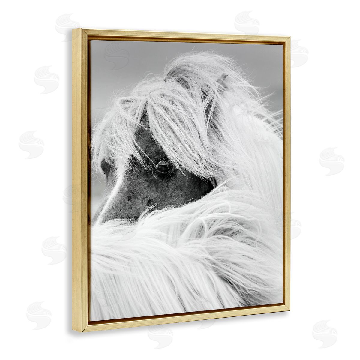 Danita Delimont Horse Gazing Windblown Mane 