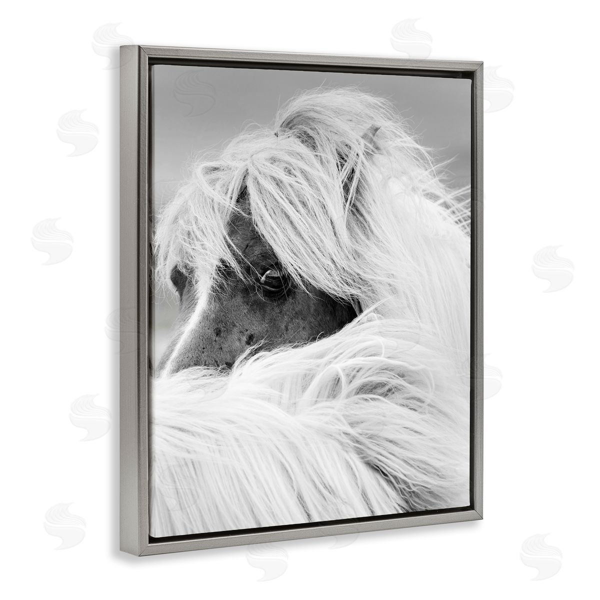Danita Delimont Horse Gazing Windblown Mane 