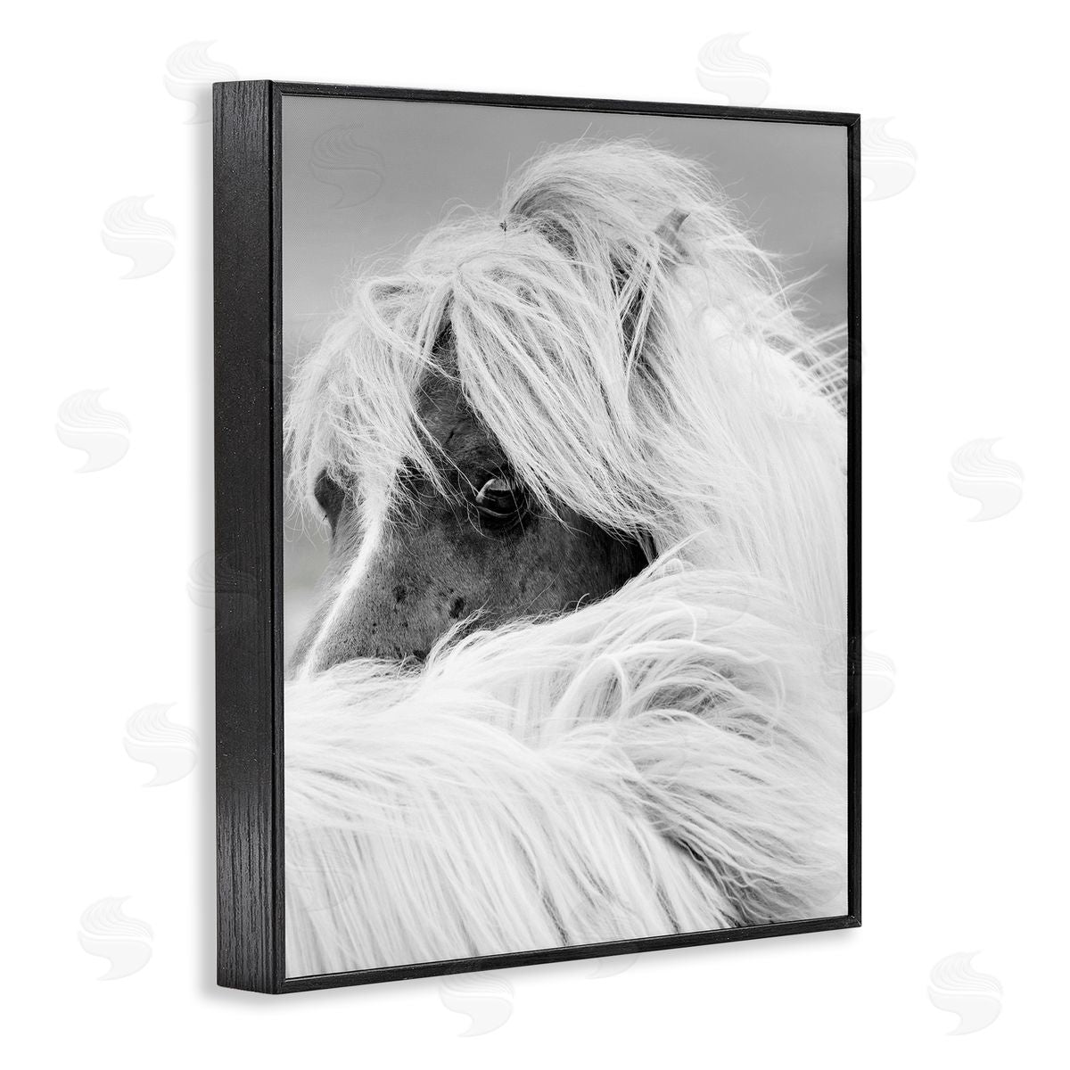 Danita Delimont Horse Gazing Windblown Mane 