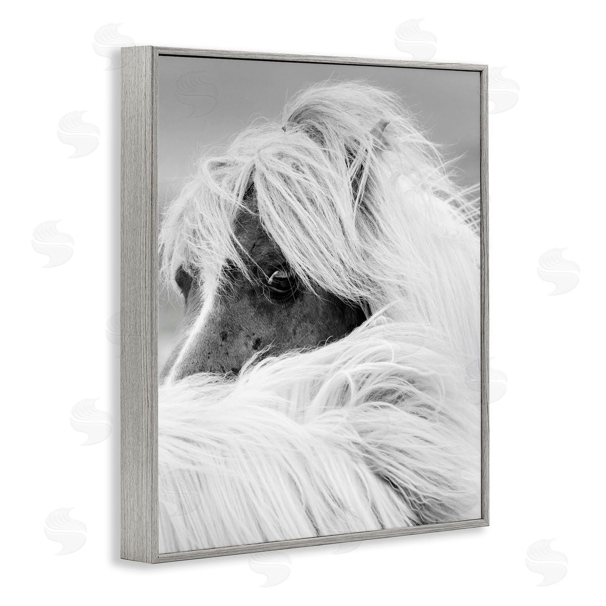 Danita Delimont Horse Gazing Windblown Mane 