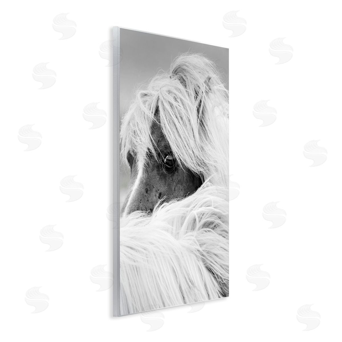 Danita Delimont Horse Gazing Windblown Mane 