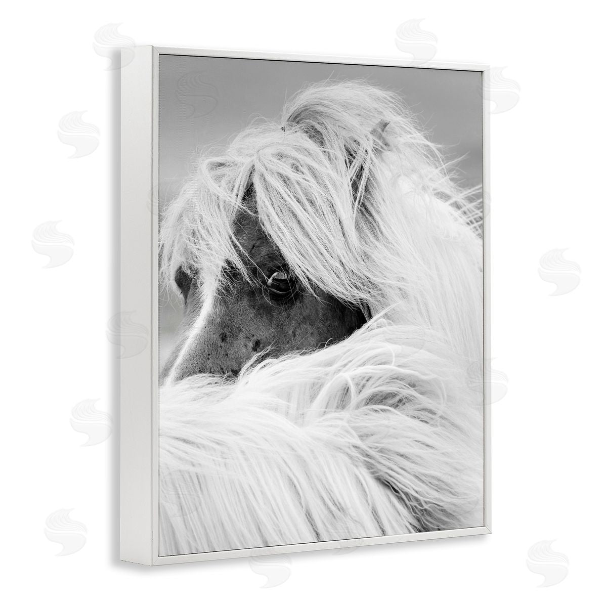 Danita Delimont Horse Gazing Windblown Mane 