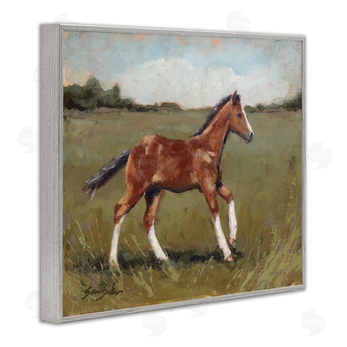 Sara Baker Horse Foal Galloping Countryside