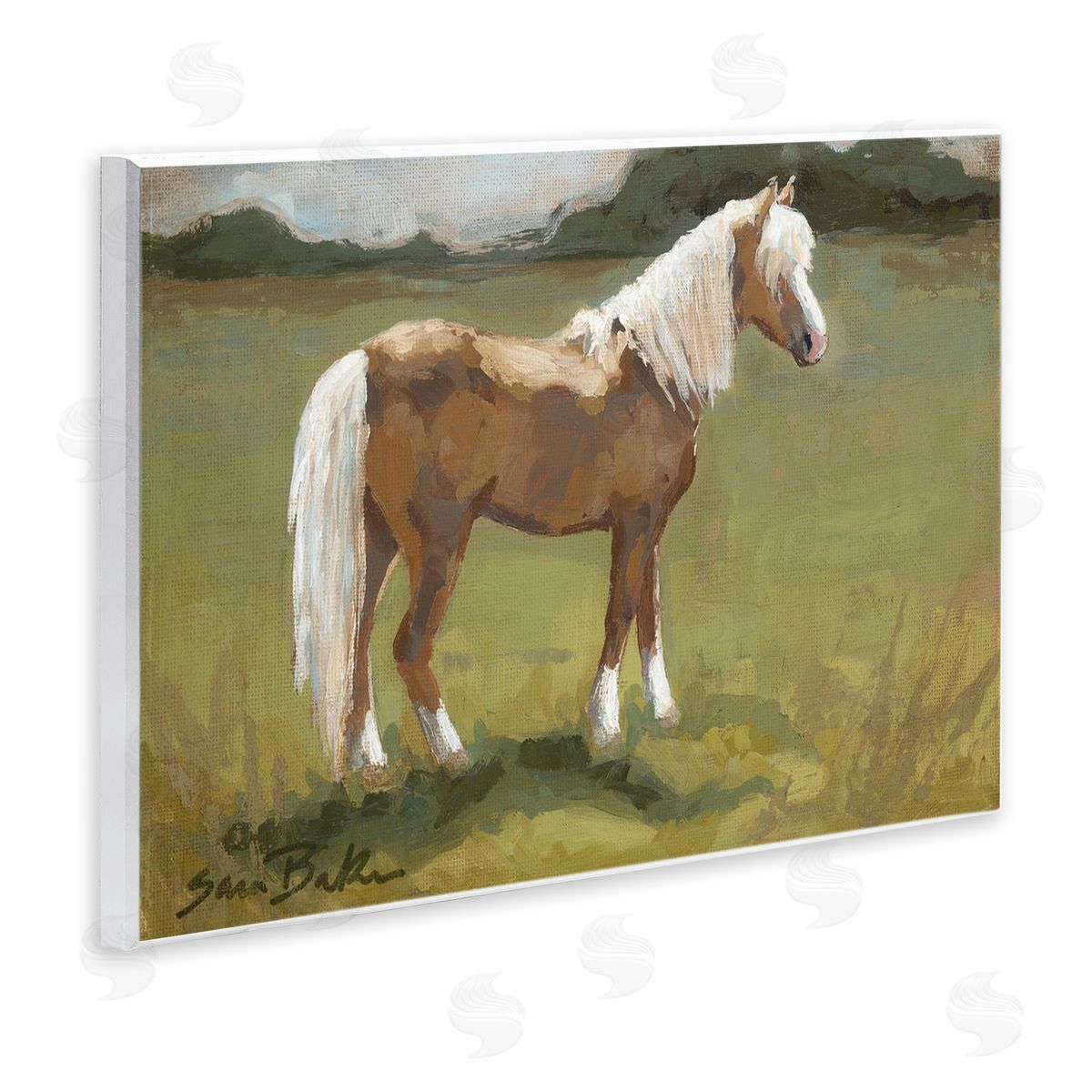 Sara Baker Rural Horse Countryside Landscape