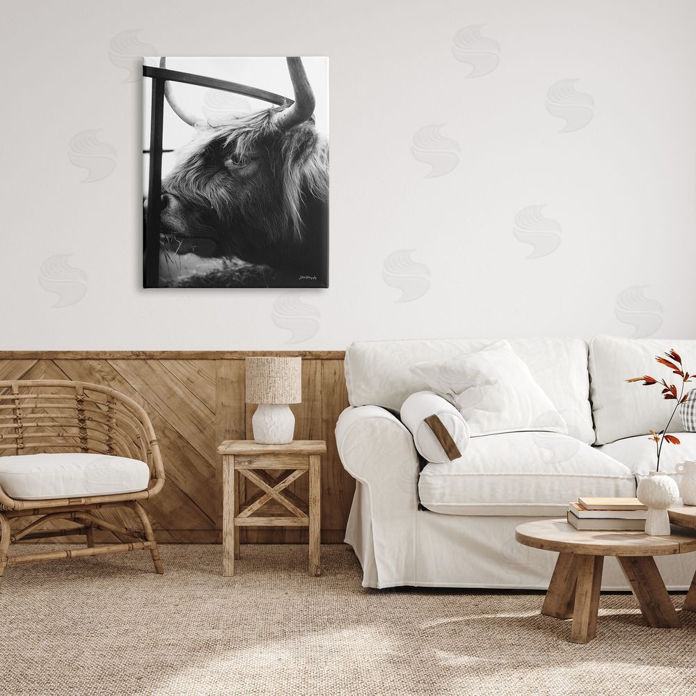 Dakota Diener Longhorn Cattle Feeding Portrait