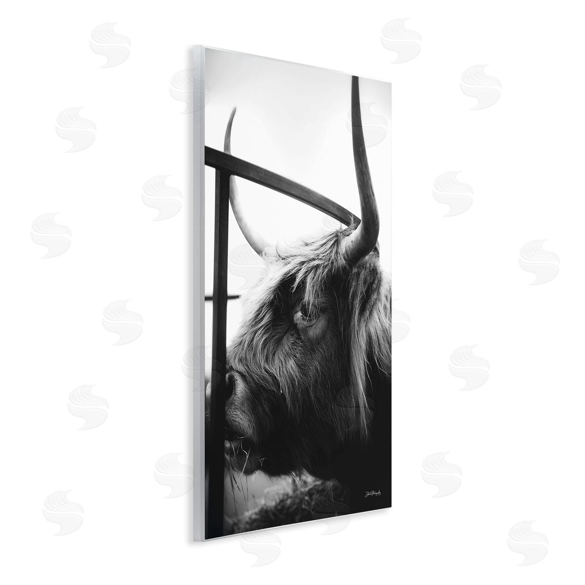 Dakota Diener Longhorn Cattle Feeding Portrait