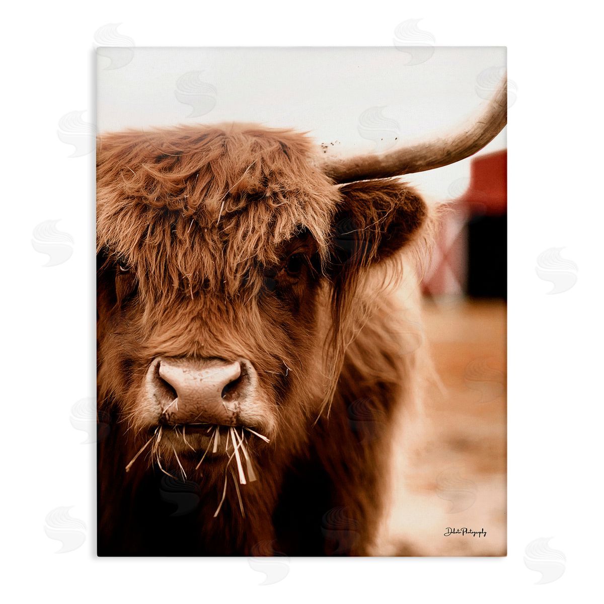 Dakota Diener Grazing Cow Animal Portrait