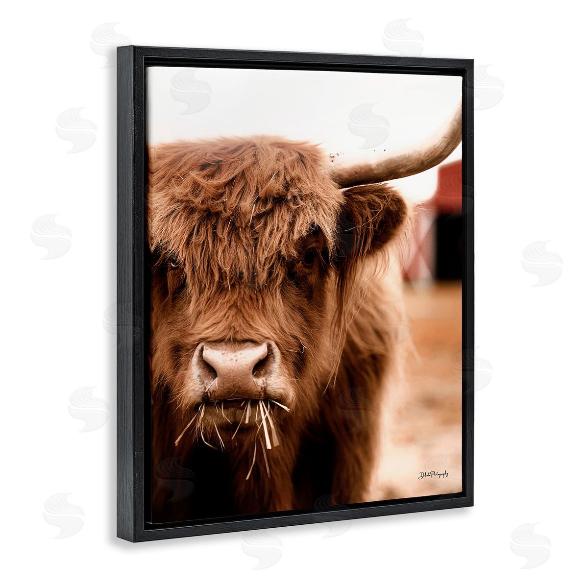 Dakota Diener Grazing Cow Animal Portrait