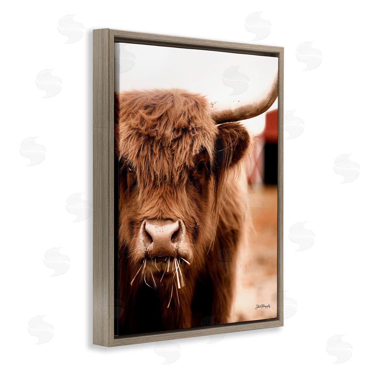 Dakota Diener Grazing Cow Animal Portrait