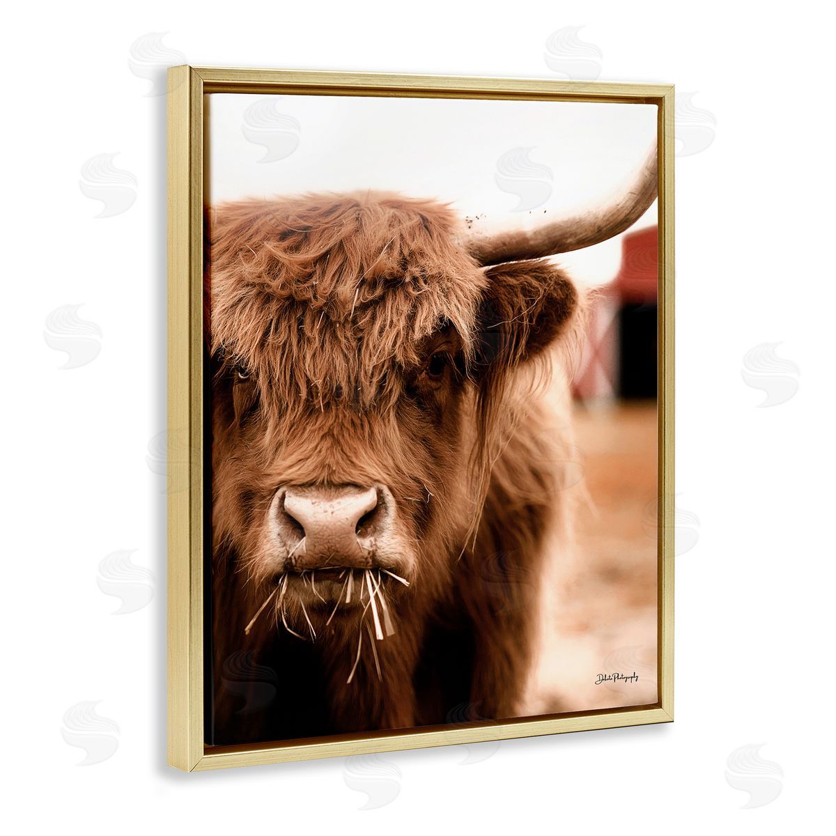 Dakota Diener Grazing Cow Animal Portrait