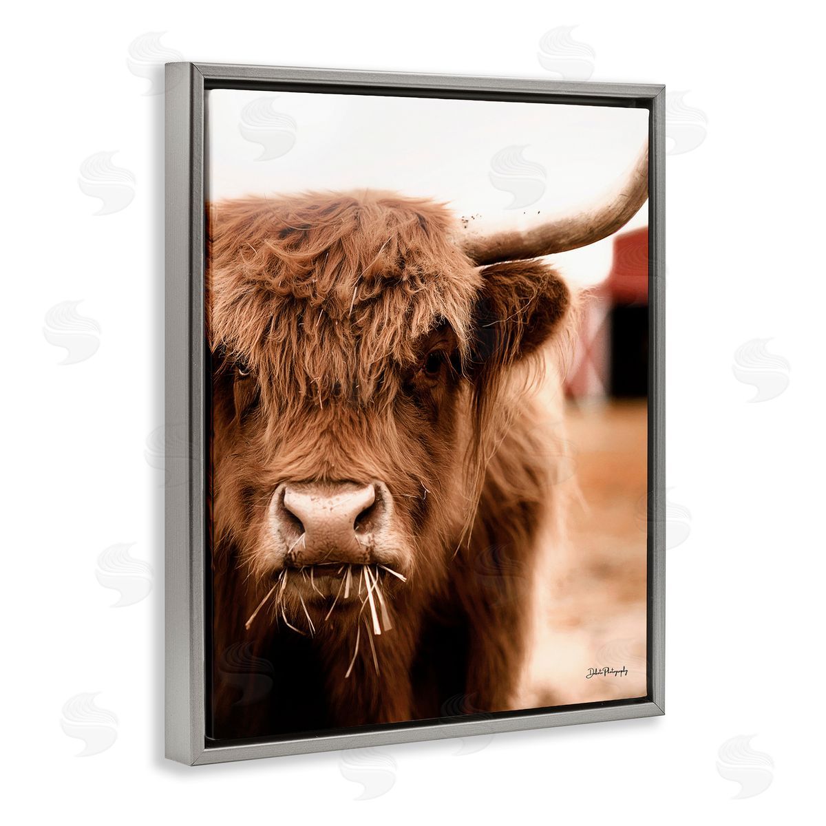 Dakota Diener Grazing Cow Animal Portrait