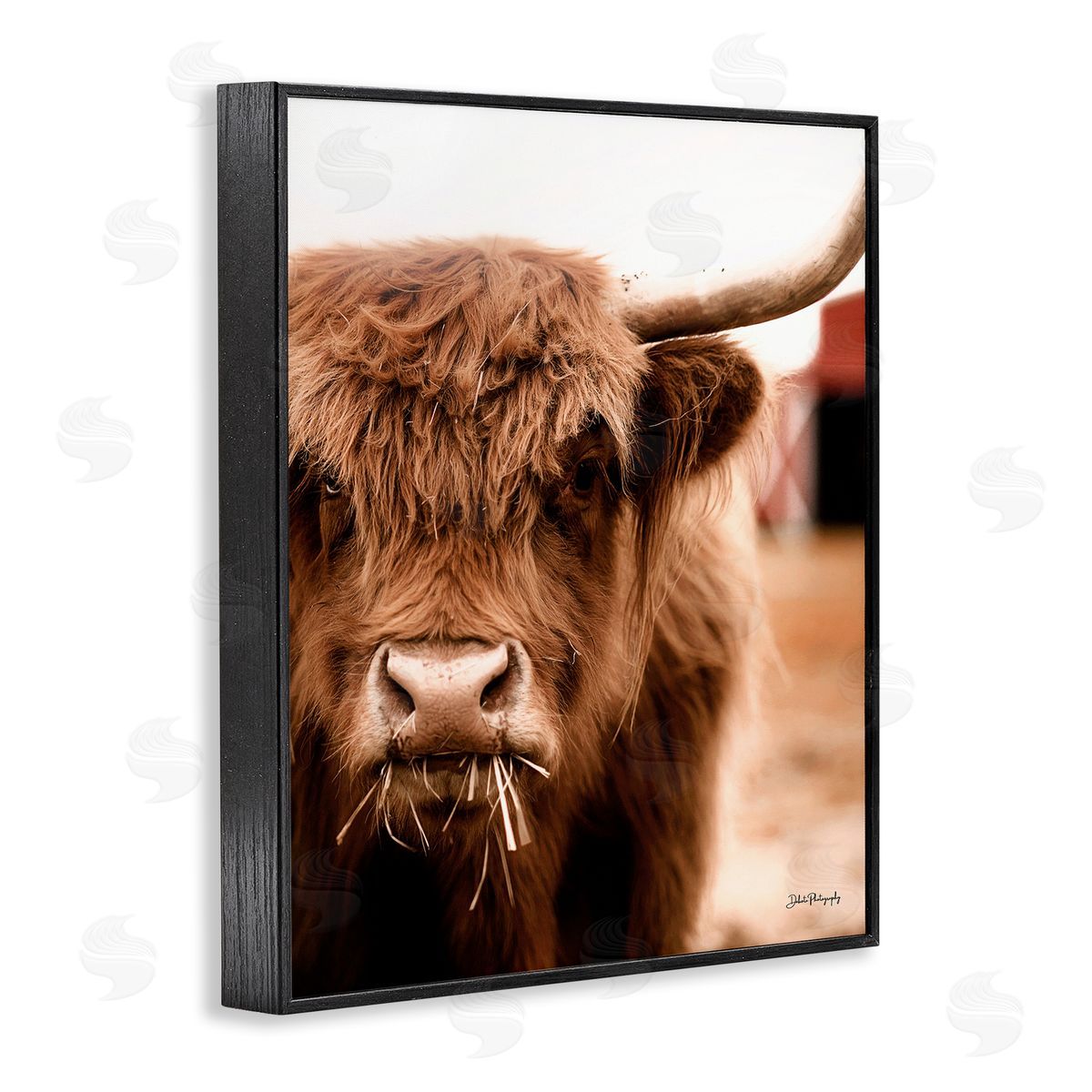 Dakota Diener Grazing Cow Animal Portrait