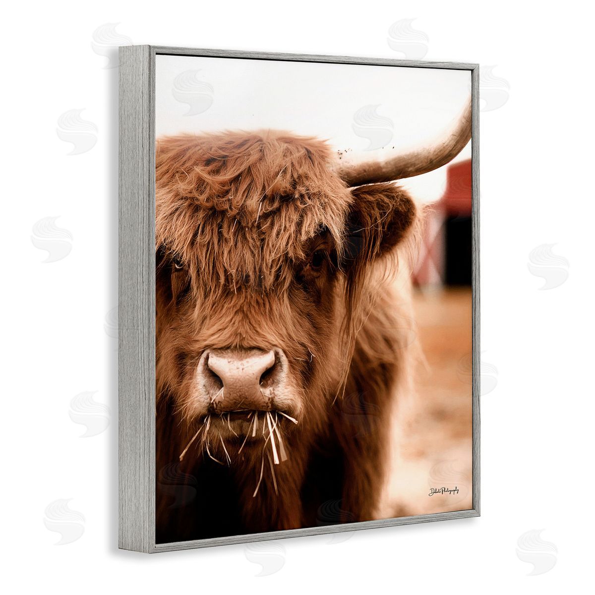 Dakota Diener Grazing Cow Animal Portrait