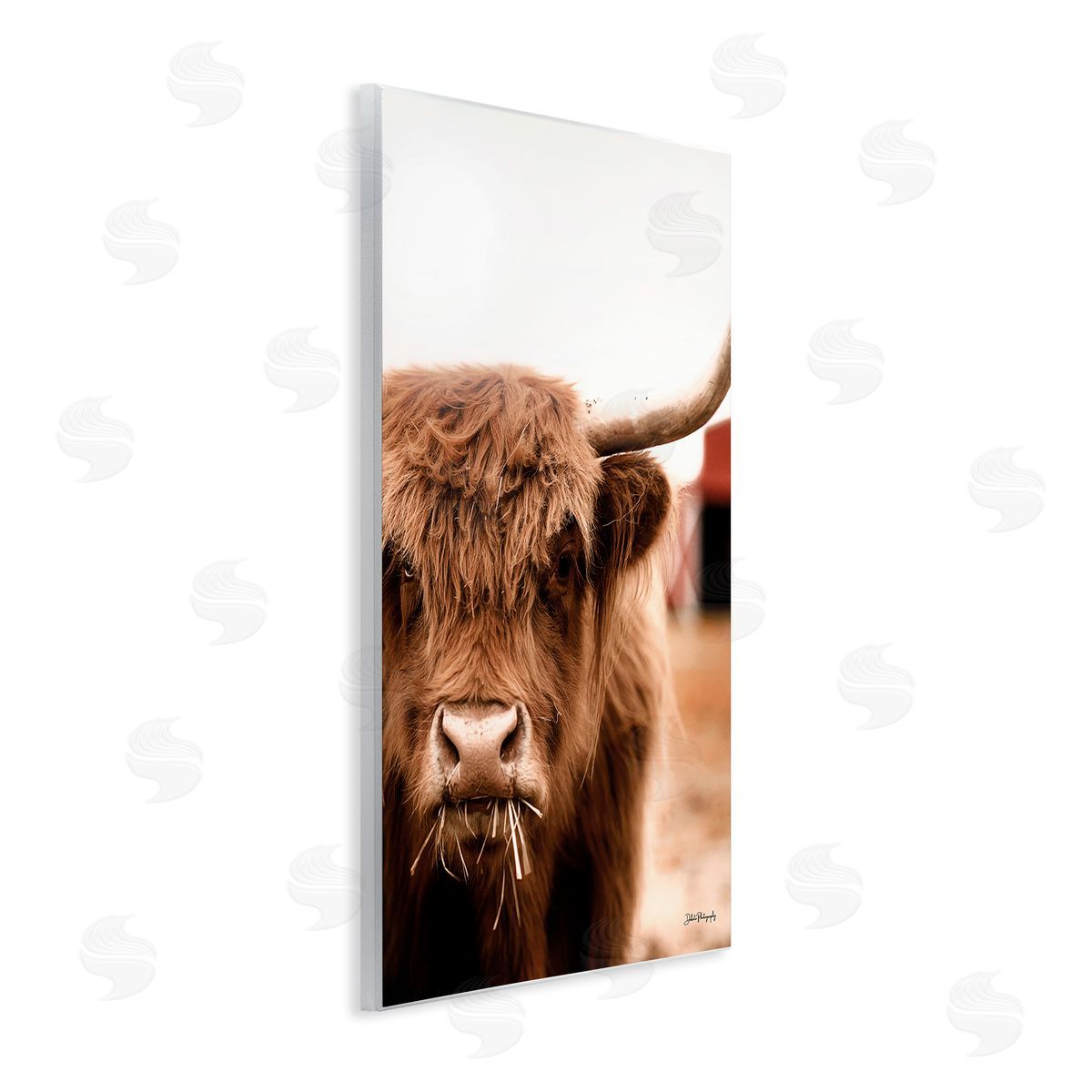 Dakota Diener Grazing Cow Animal Portrait