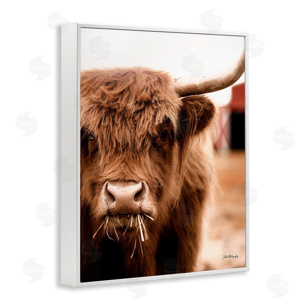 Dakota Diener Grazing Cow Animal Portrait