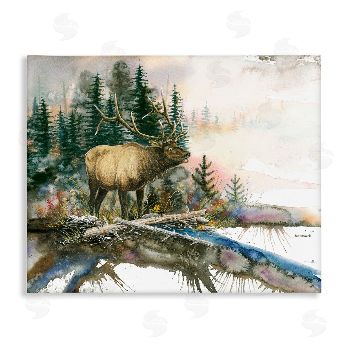 Dave Bartholet Moose Woodland Nature Composition