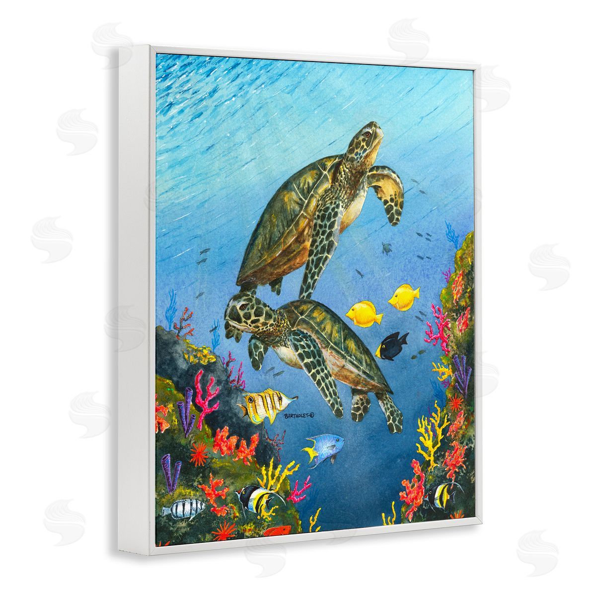 Dave Bartholet Sea Turtles Swimming Underwater Reef