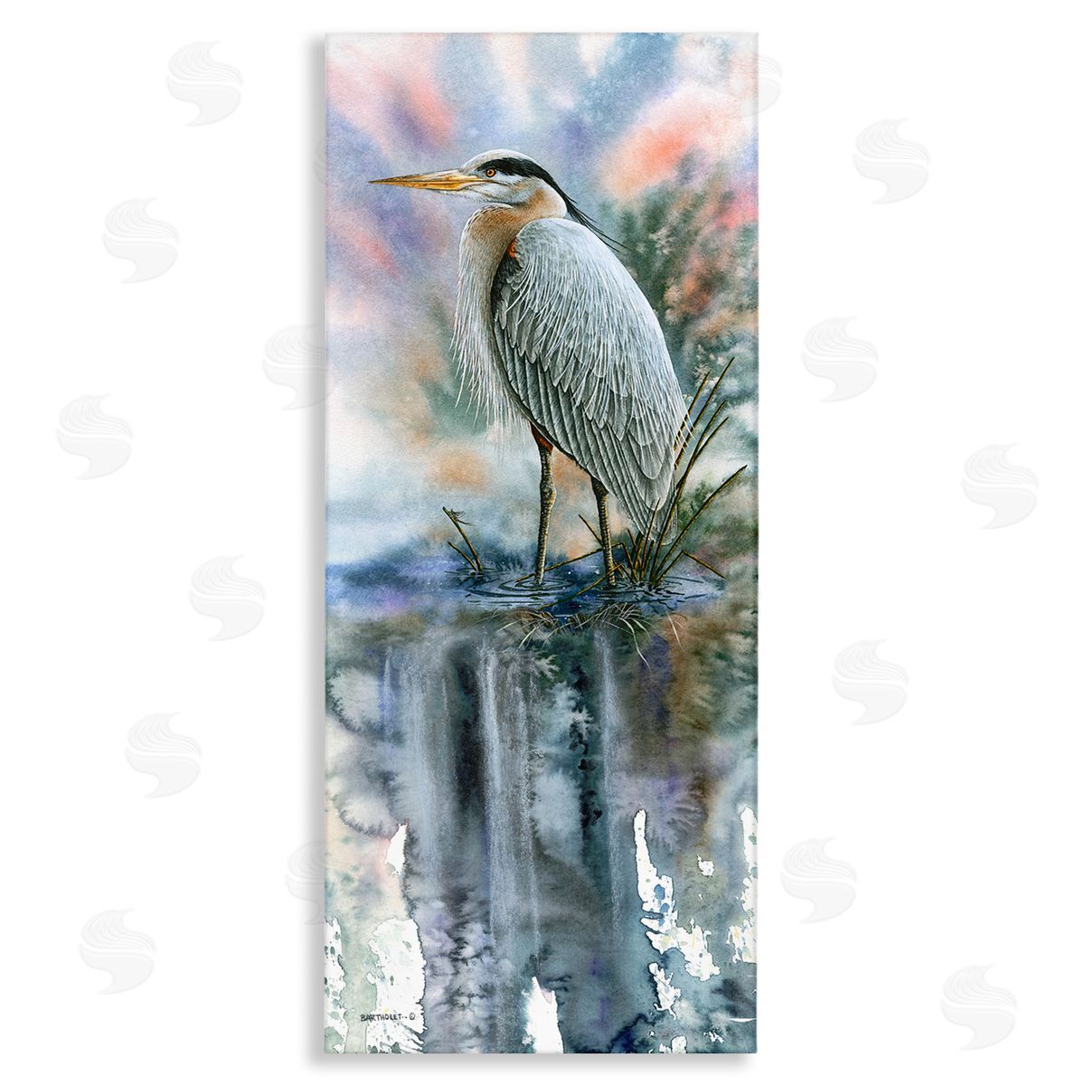 Dave Bartholet Heron Bird Pond Water's Edge 