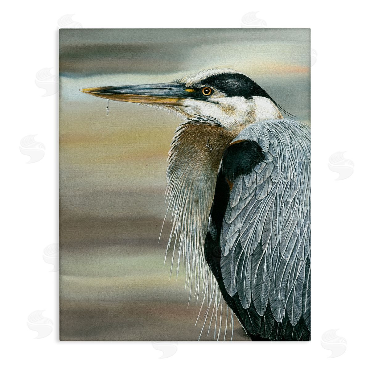 Dave Bartholet Heron Bird Feather Portrait