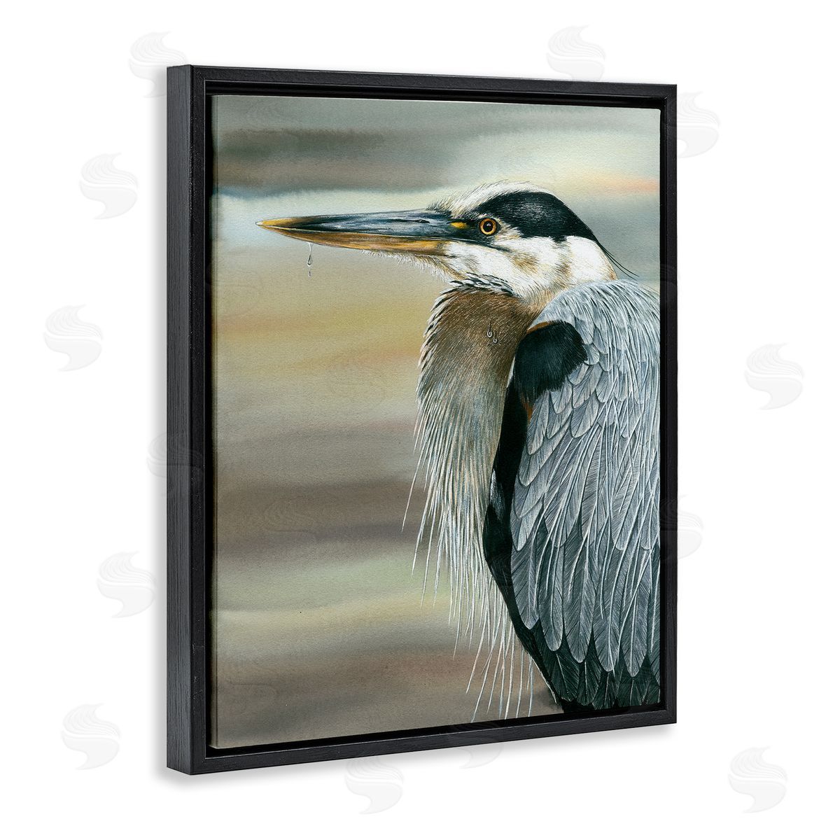 Dave Bartholet Heron Bird Feather Portrait
