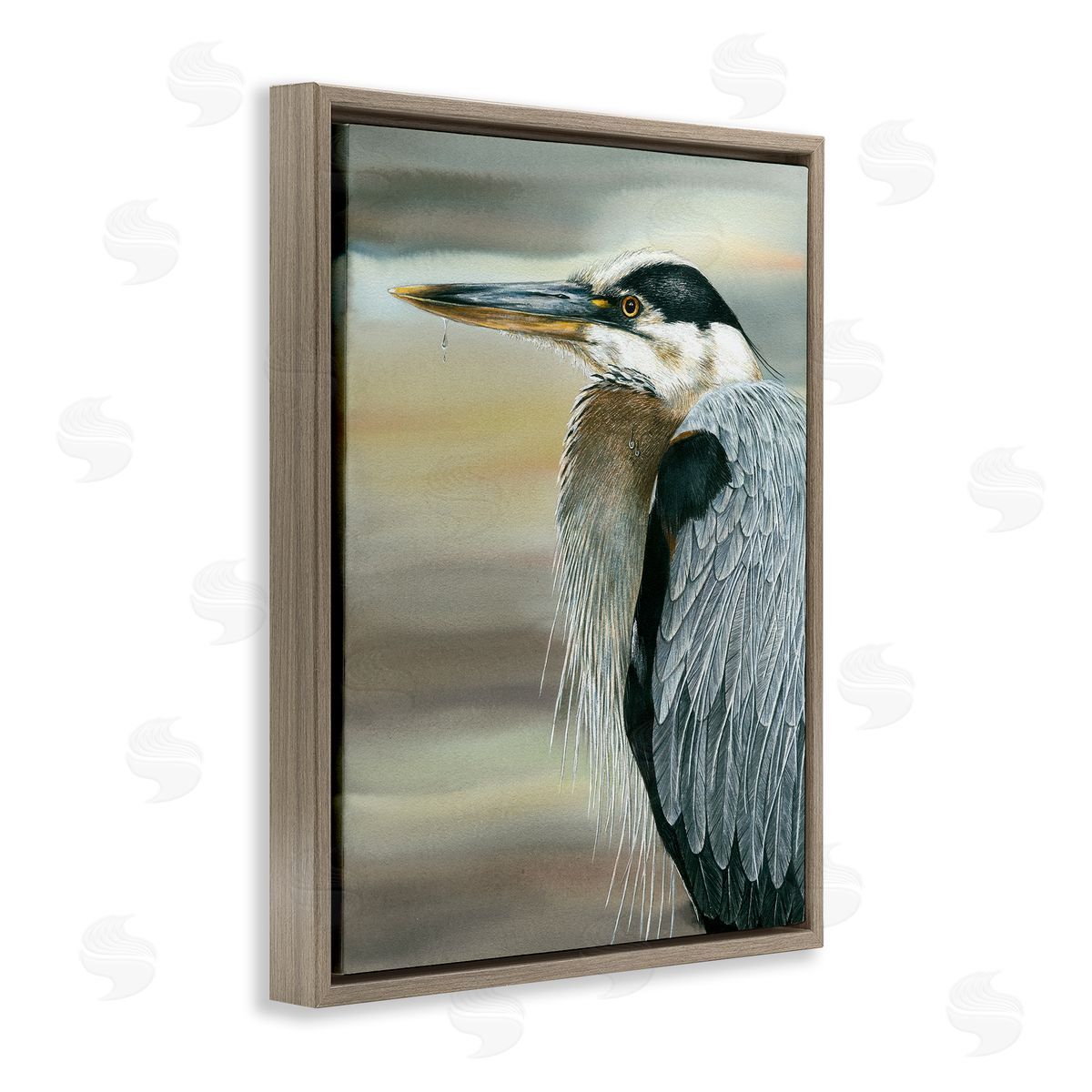 Dave Bartholet Heron Bird Feather Portrait