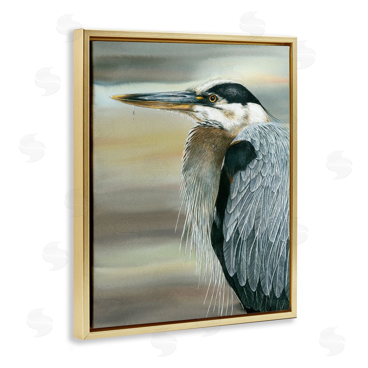 Dave Bartholet Heron Bird Feather Portrait