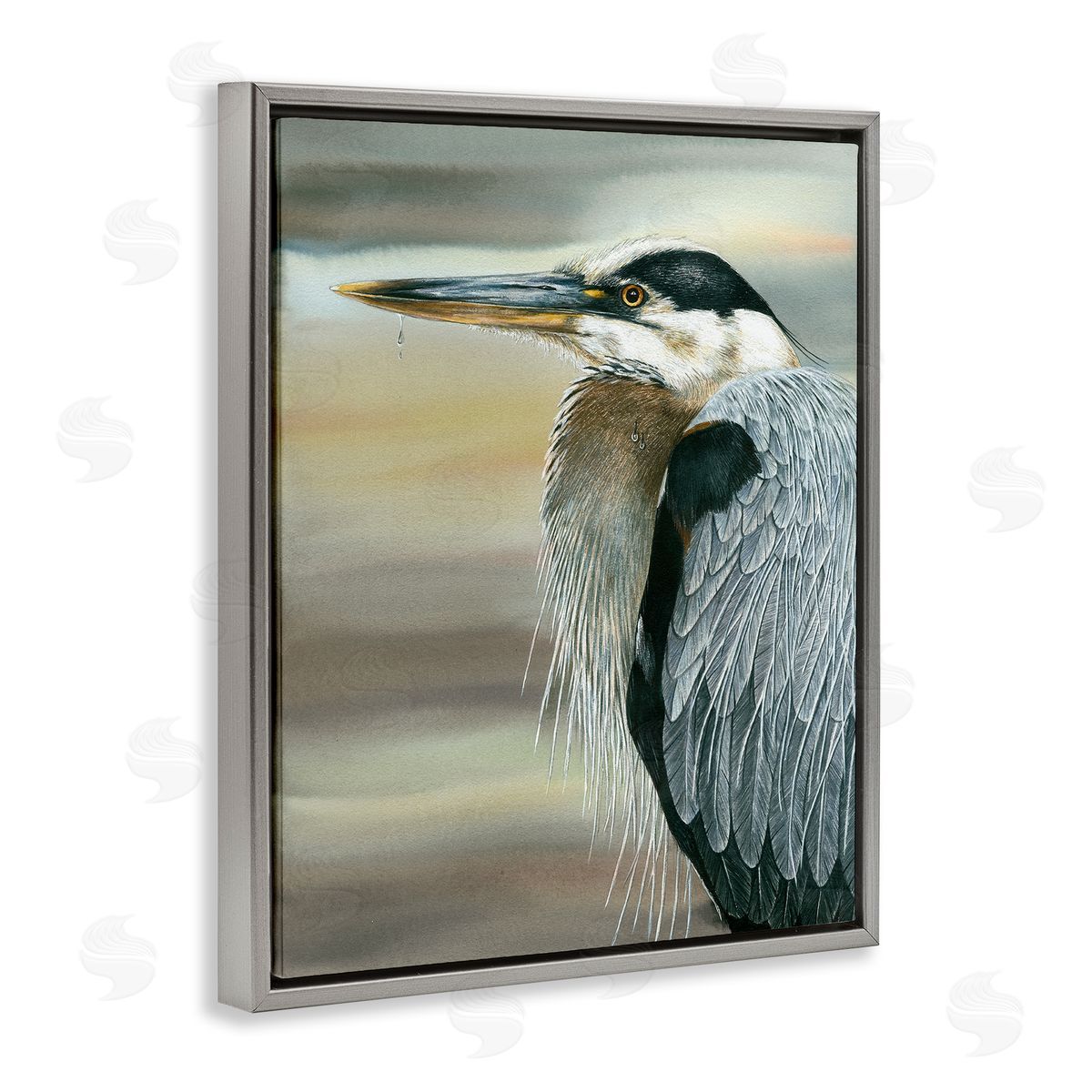Dave Bartholet Heron Bird Feather Portrait