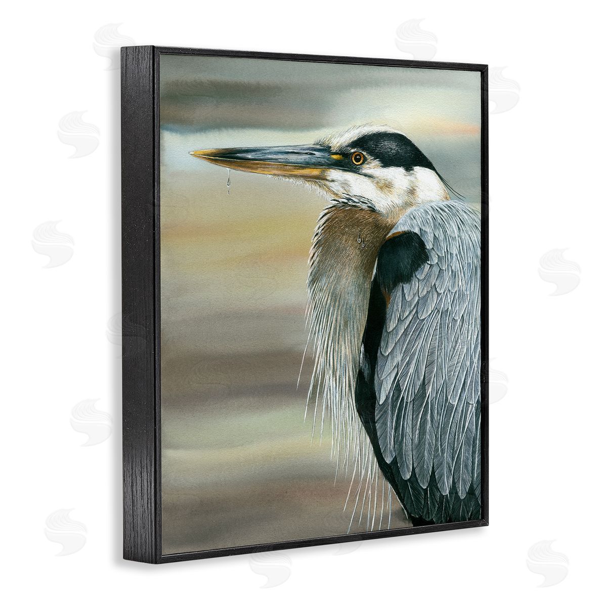 Dave Bartholet Heron Bird Feather Portrait
