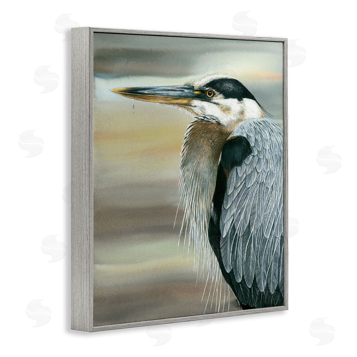 Dave Bartholet Heron Bird Feather Portrait