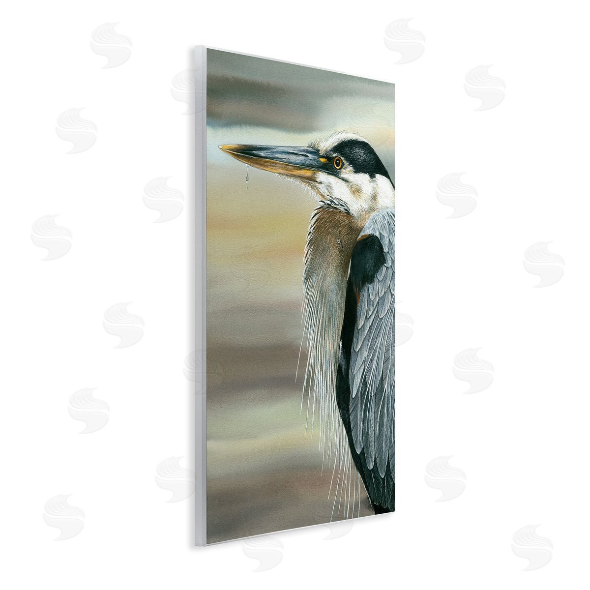 Dave Bartholet Heron Bird Feather Portrait