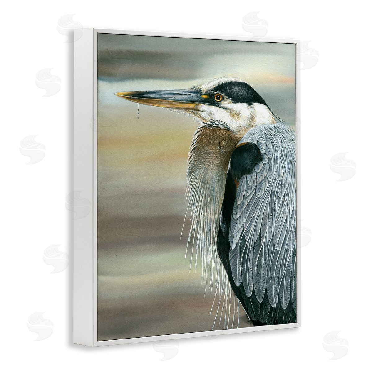 Dave Bartholet Heron Bird Feather Portrait